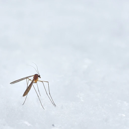 Qista : La Révolution des Pièges à Moustiques