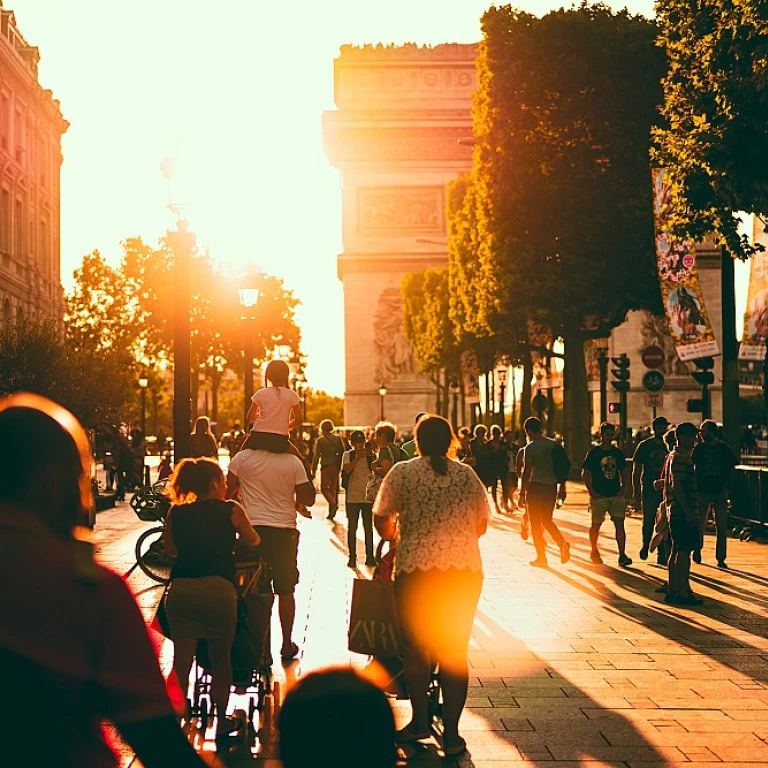 Innovation et Confort: Profitez des Nuits Paisibles avec les Nouveaux Pièges à Moustiques Haut de Gamme